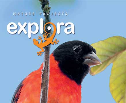 Explora Magazine #3
