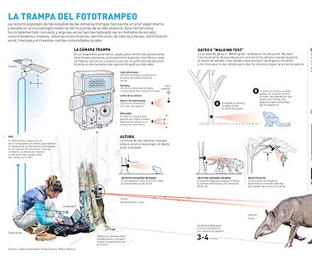 La Trampa del Fototrampeo